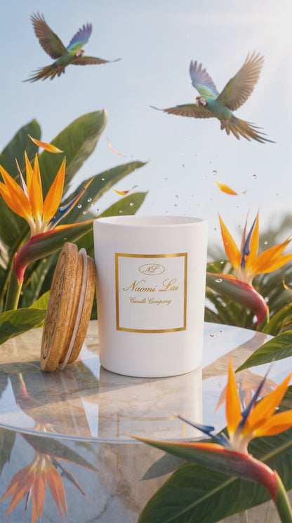 BIRDS OF PARADISE